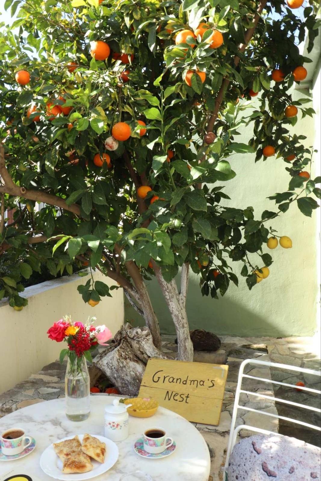 Grandma'S Nest Villa Kíssamos Екстериор снимка